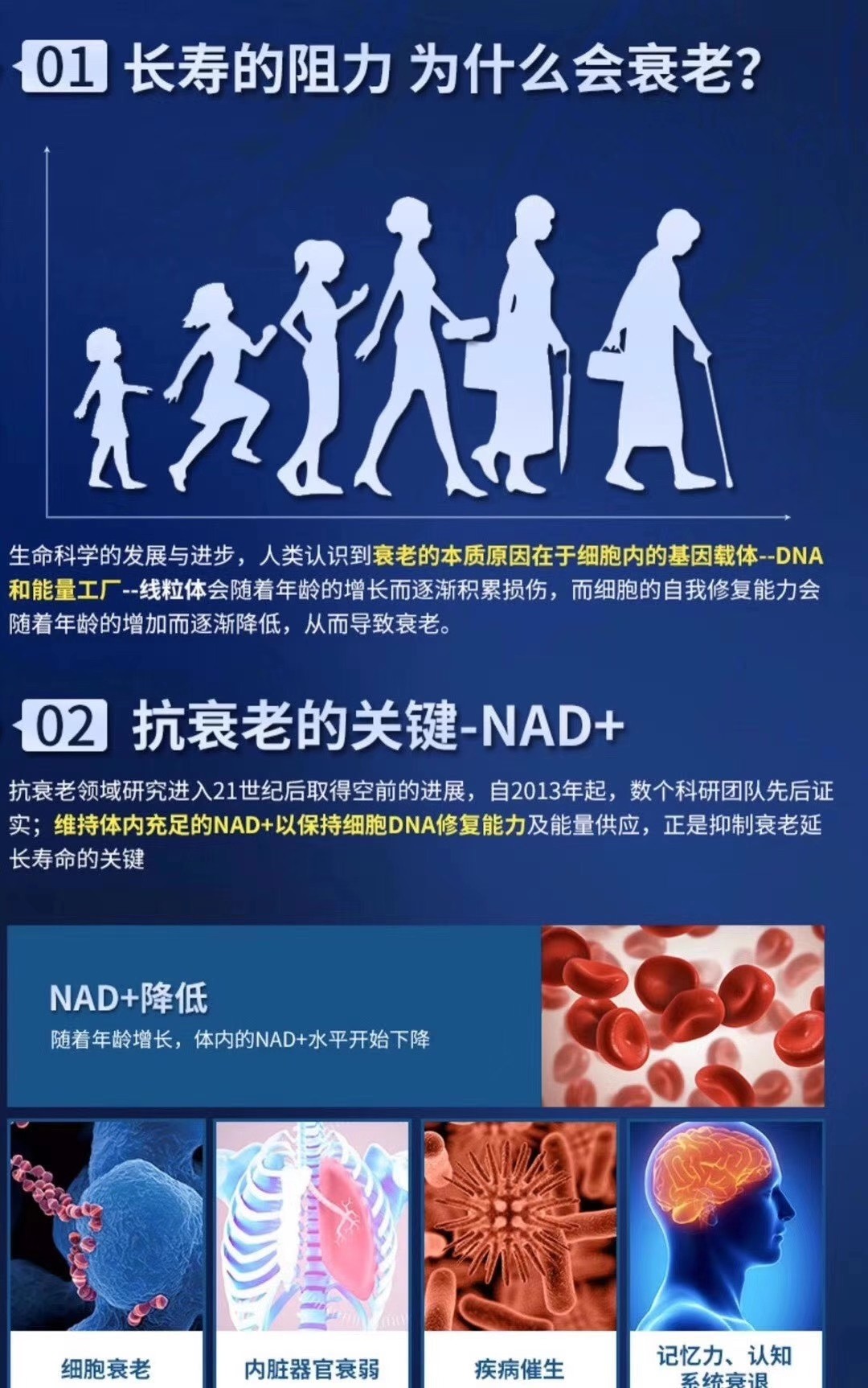 01长寿的阻力 为什么会衰老?02 抗衰老的关键-NAD+