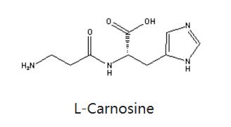 肌肽-化妆品中的应用