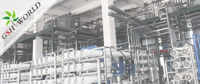 企业动态 - 安庆市区领导对古特生物的生产发展给予充分肯定