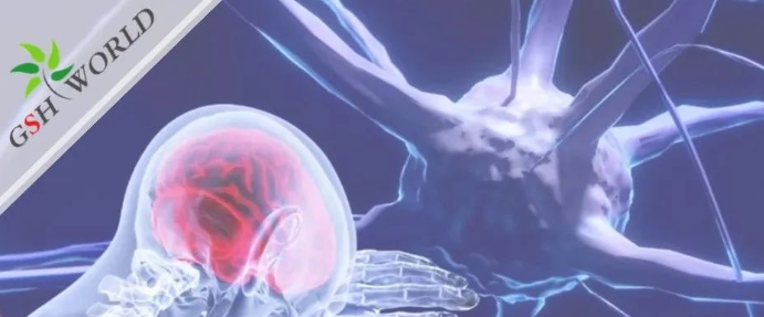 行业关注 - 谷胱甘肽在脑部疾病和衰老中的作用