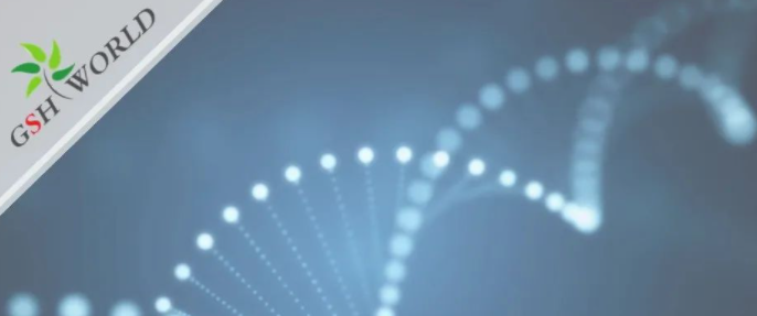 行业关注 - 胞磷胆碱保护大脑的7大好处