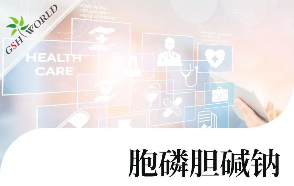 行业关注 - 胞磷胆碱钠对新冠导致相关认知衰退的潜在作用