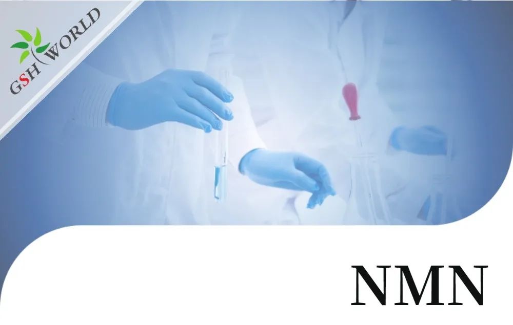 行业关注 - NMN的保健功能与最新研究进展