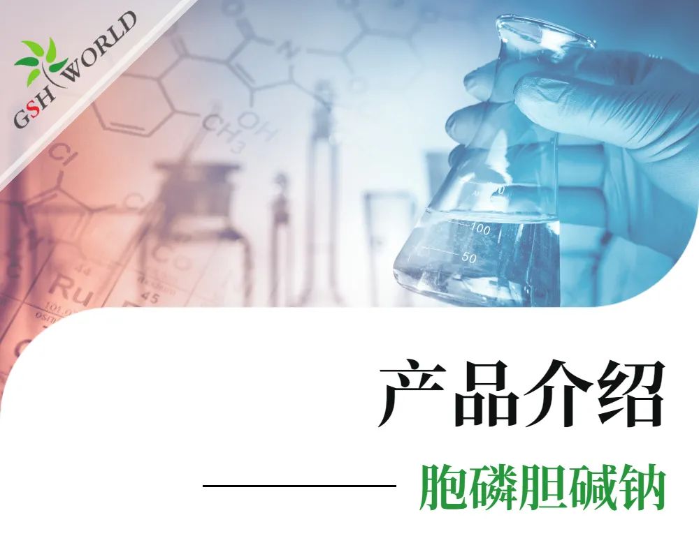 产品介绍 - 胞磷胆碱钠——被广泛应用的神经保护剂