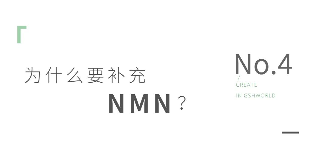 NMN——身体内的抗氧化剂、免疫调节剂和抗炎药