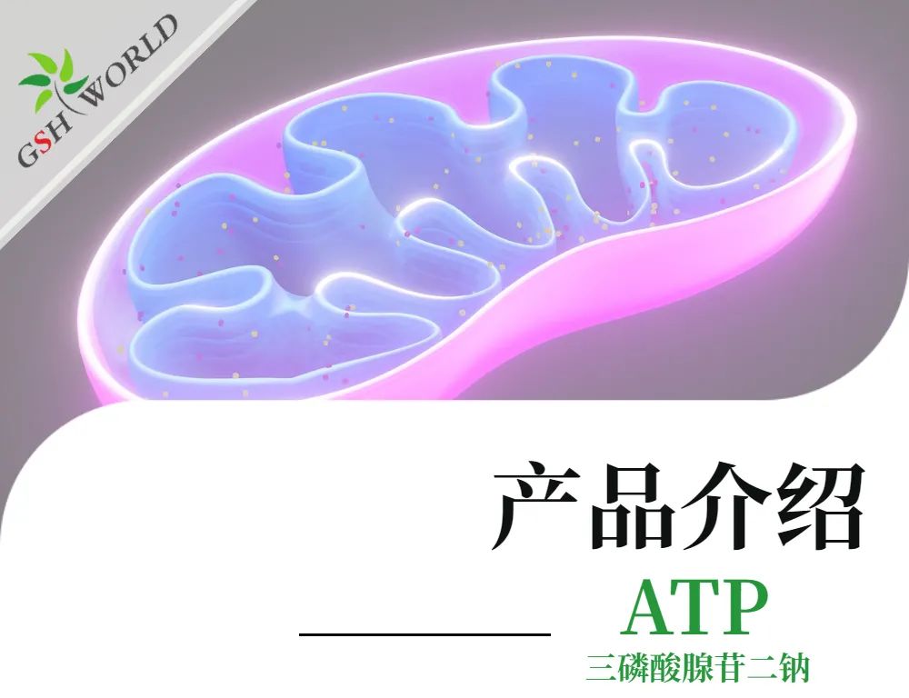 三磷酸腺苷二钠：生命能量的化学密码