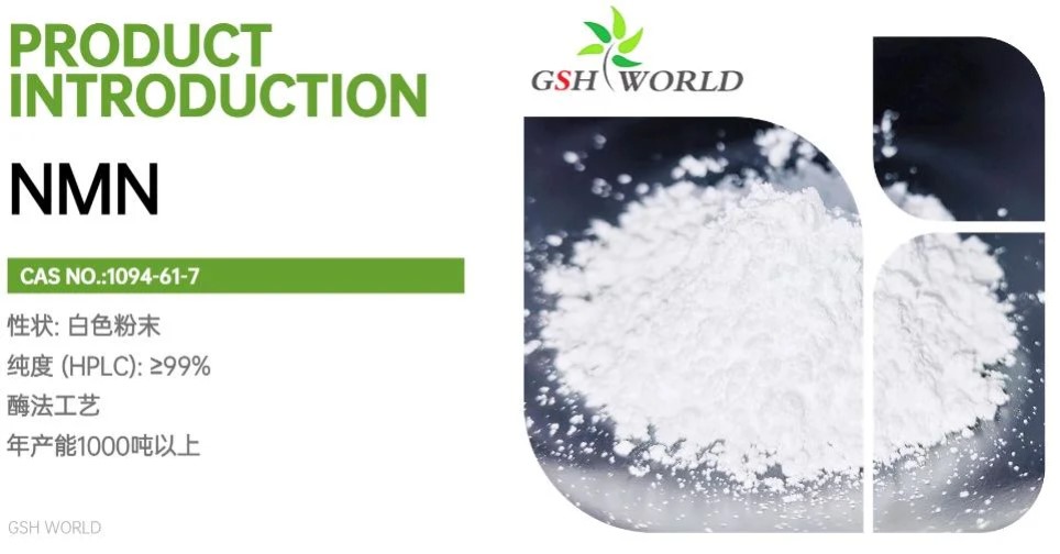 烟酰胺单核苷酸原料：制造商和消费者指南