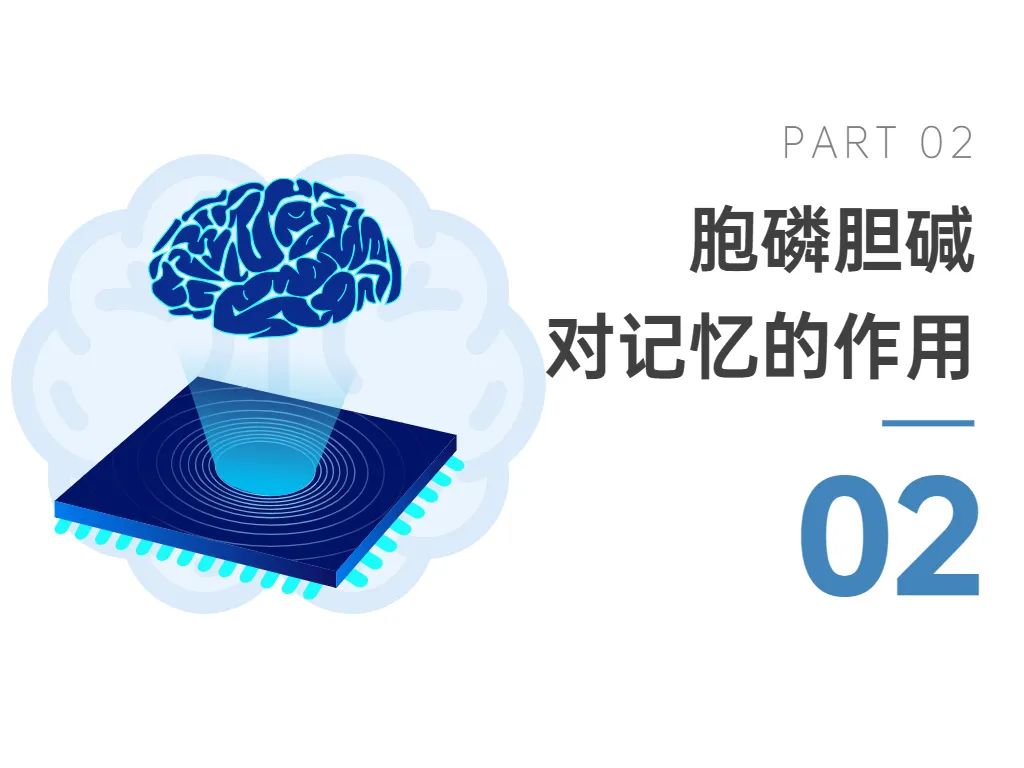 02胞磷胆碱对记忆的作用