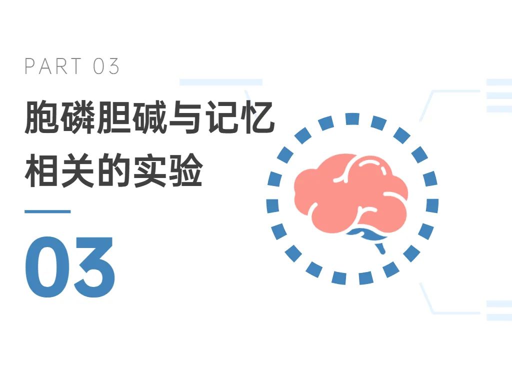 03胞磷胆碱与记忆相关的实验