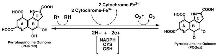 包含图片、插图等的外部文件。
对象名称为 biomolecules-11-01441-g001.jpg