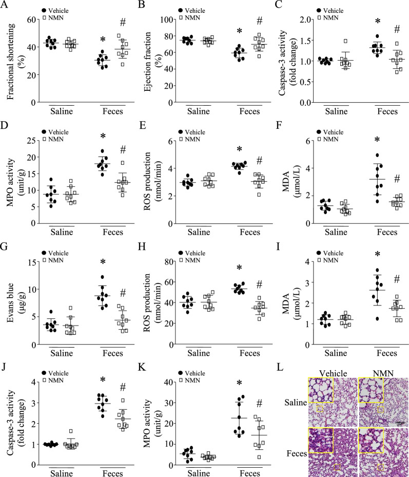 包含图片、插图等的外部文件。
对象名称为 12967_2023_4767_Fig2_HTML.jpg