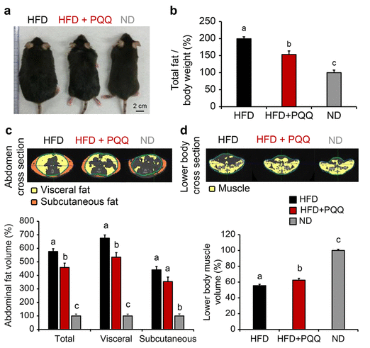 古特生物 研究实验