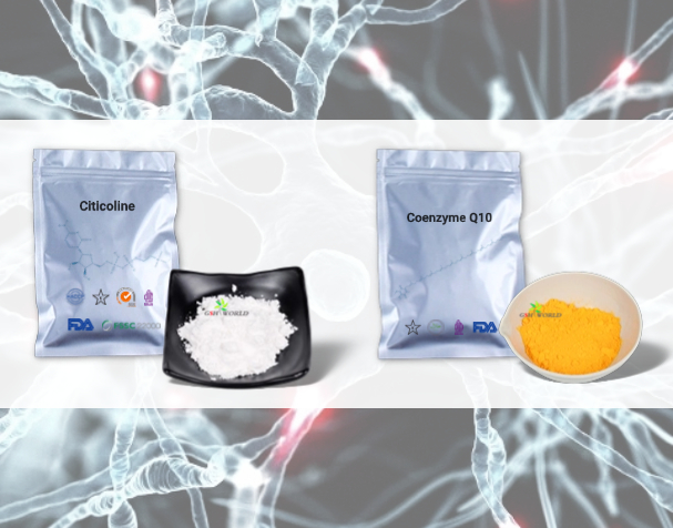 胞磷胆碱与辅酶Q10的神经保护机制