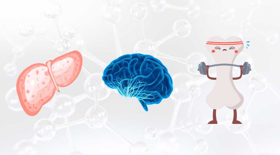 SAMe对肝脏健康的潜在益处