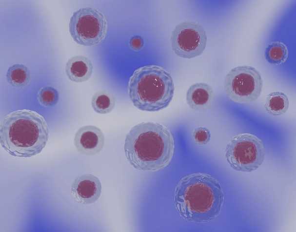 PQQ的结构与特性