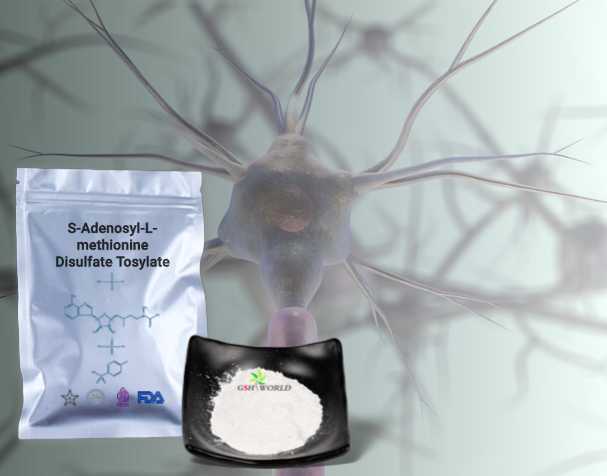 SAMe对神经健康的作用