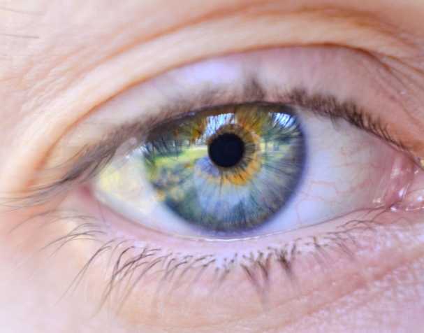 胞磷胆碱的作用机制