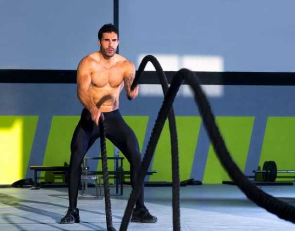 PQQ二钠盐：改善肌肉力量的新型膳食营养素