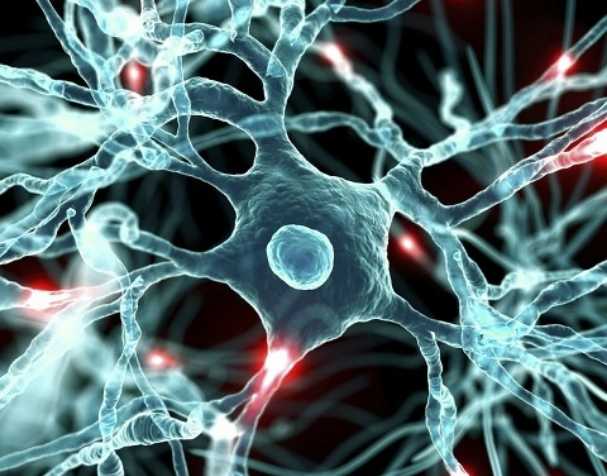 胞磷胆碱对大脑健康的显著益处