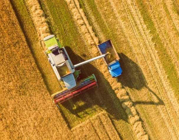谷胱甘肽在多种非生物胁迫中的作用