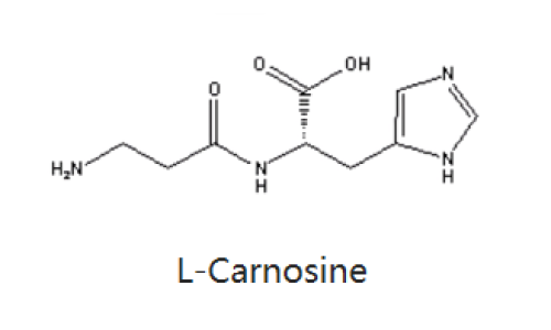肌肽-化妆品中的应用