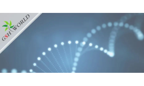 行业关注 - 胞磷胆碱保护大脑的7大好处