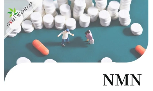 NMN(烟酰胺单核苷酸)的适用人群
