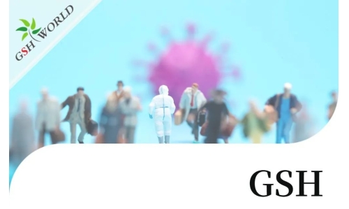 行业关注 - 增强 GSH 可能是对抗新冠疾病的有效疗法