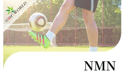 行业关注 - NMN对肌腱炎的抗氧化作用