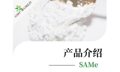 产品介绍 - SAMe——堪称全能的肝脏营养剂