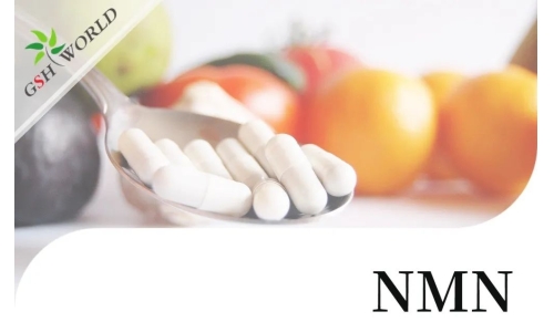 行业关注 - NMN潜在的抗衰老活性及其适用性