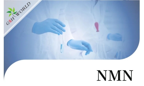 行业关注 - NMN的保健功能与最新研究进展