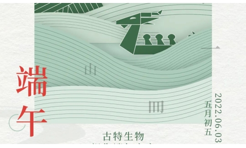 端午 - 争流而上，行舟踏浪