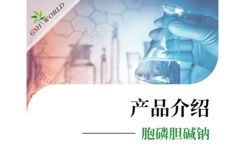 产品介绍 - 胞磷胆碱钠——被广泛应用的神经保护剂