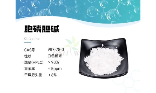 产品资讯 - 胞磷胆碱在视网膜病理学中的作用