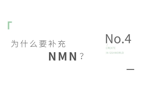 NMN——身体内的抗氧化剂、免疫调节剂和抗炎药