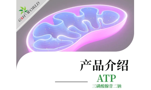 三磷酸腺苷二钠：生命能量的化学密码