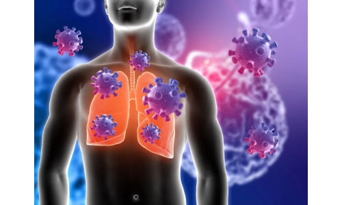 钟南山：6月底将迎来二阳高峰！危害更大？NMN能有效抵御“二阳”！