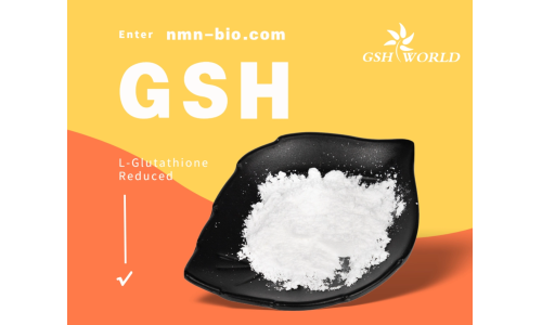 谷胱甘肽：一种多功能的抗氧化剂和解毒剂