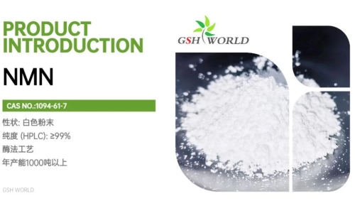 烟酰胺单核苷酸原料：制造商和消费者指南