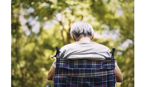 NMN对于老年人睡眠质量的影响