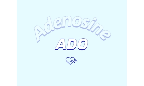 腺苷的心脏保护特性