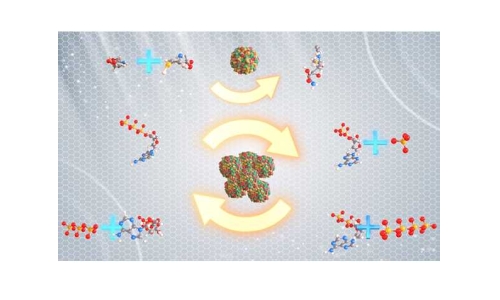 什么是“酶法合成偶联ATP再生技术”？