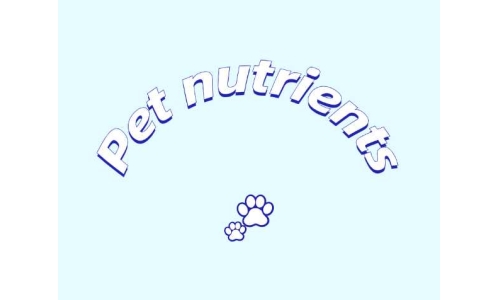 三种具有潜力的宠物营养素——PQQ、辅酶Q10以及S-腺苷甲硫氨酸