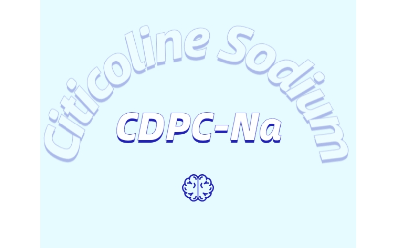 常见的健脑成分都有哪些?